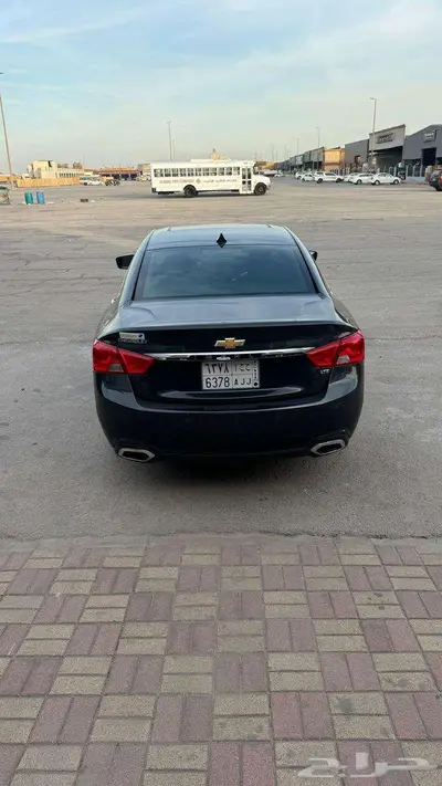 شفورلية امبالا 2014 5