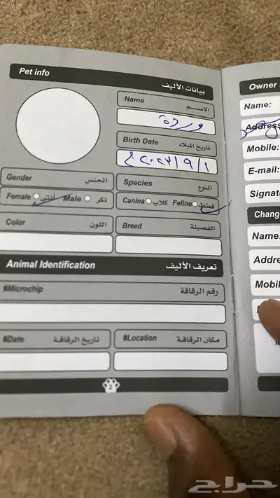 قطط 0