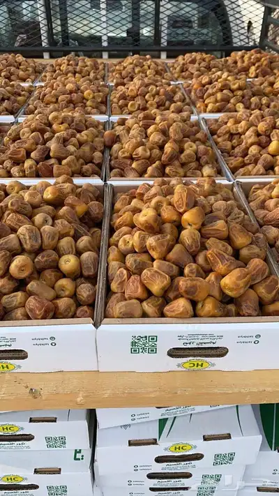 اجود انواع التمور 0