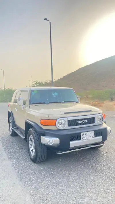 أفجي 2015 9