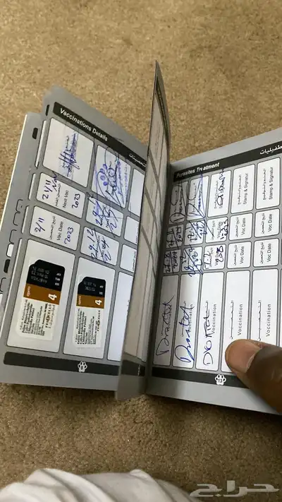 قطط 1