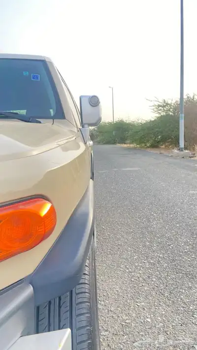 أفجي 2015 11