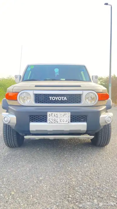 أفجي 2015 10