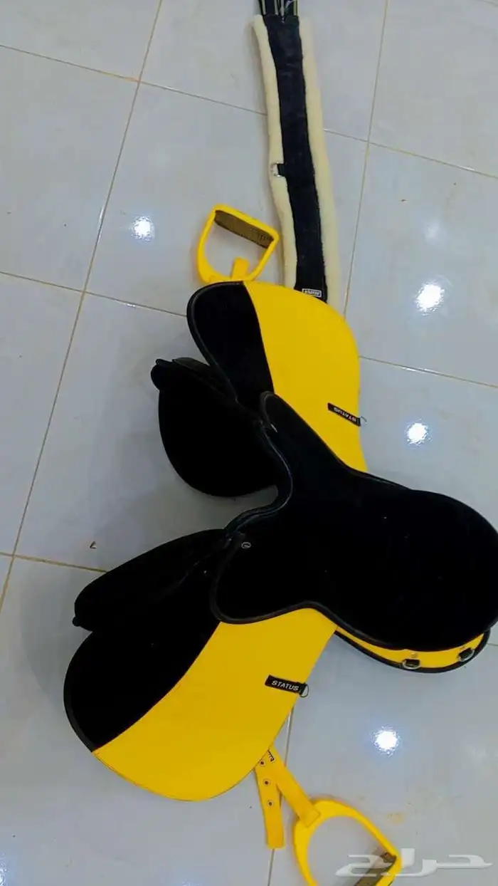 سرج خيل سيتروس كامل نظيف اخو الجديد على السوم و صدريه زينه 2