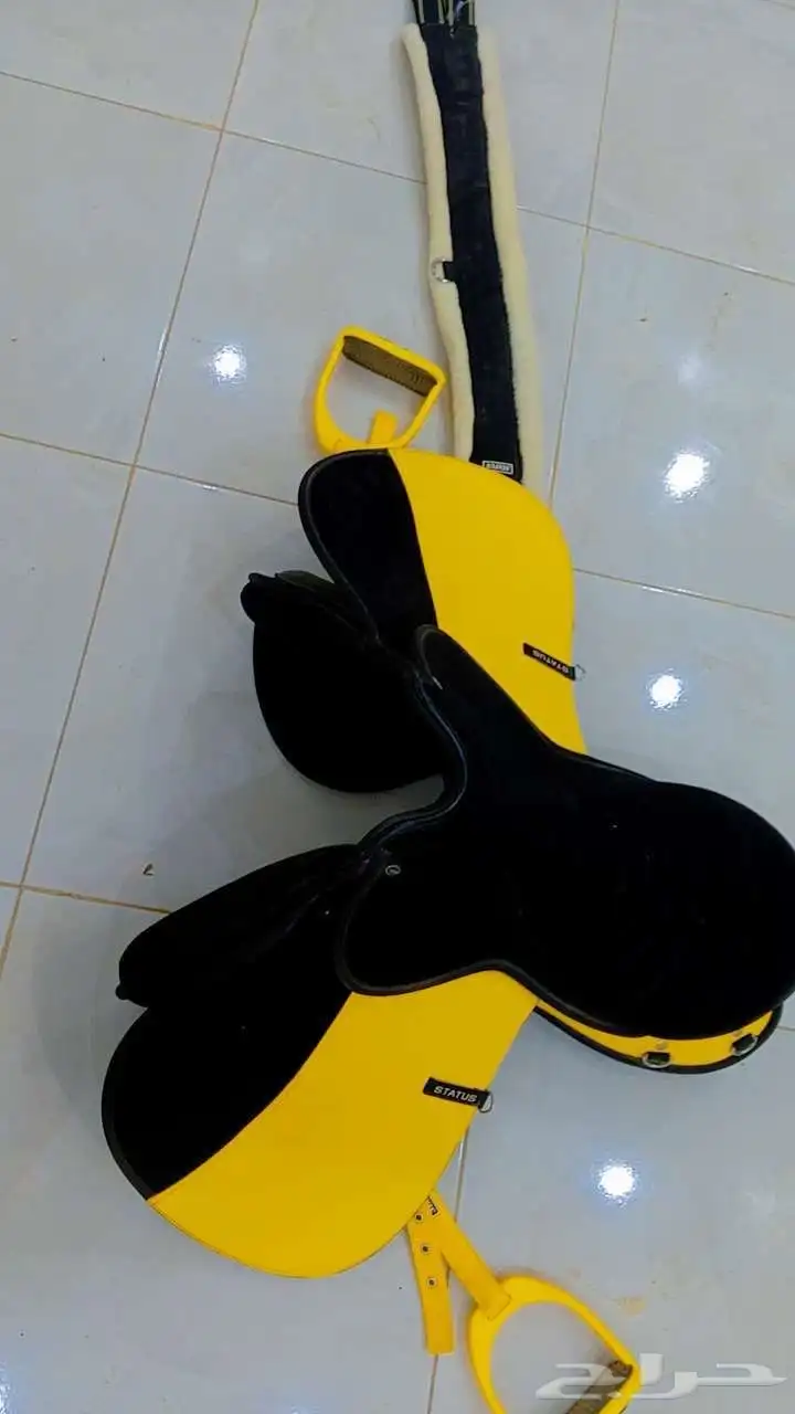 سرج خيل سيتروس كامل نظيف اخو الجديد على السوم و صدريه زينه index