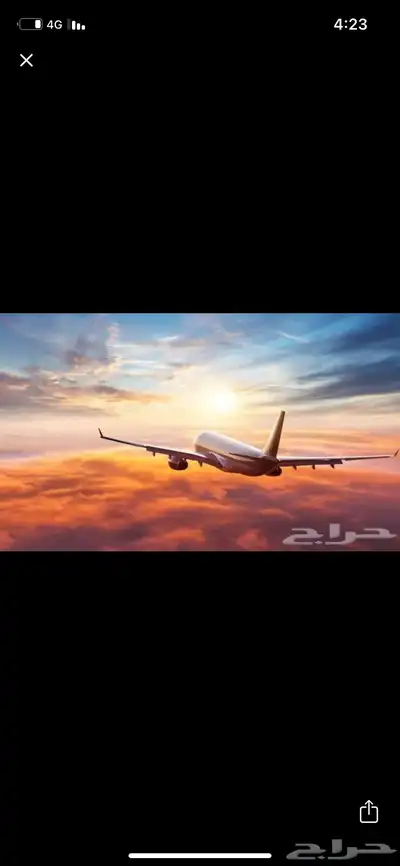 حجوزات الطيران 0
