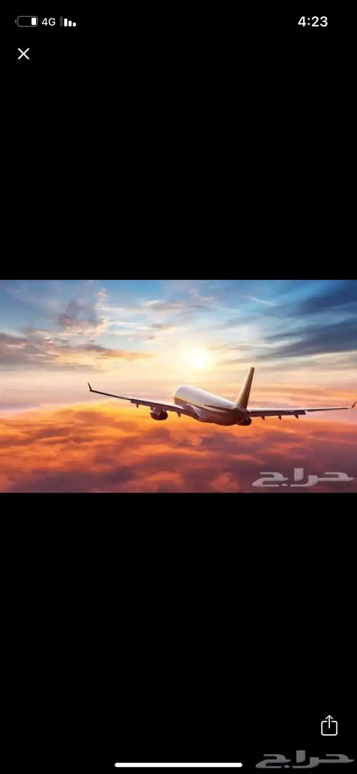حجوزات الطيران 0