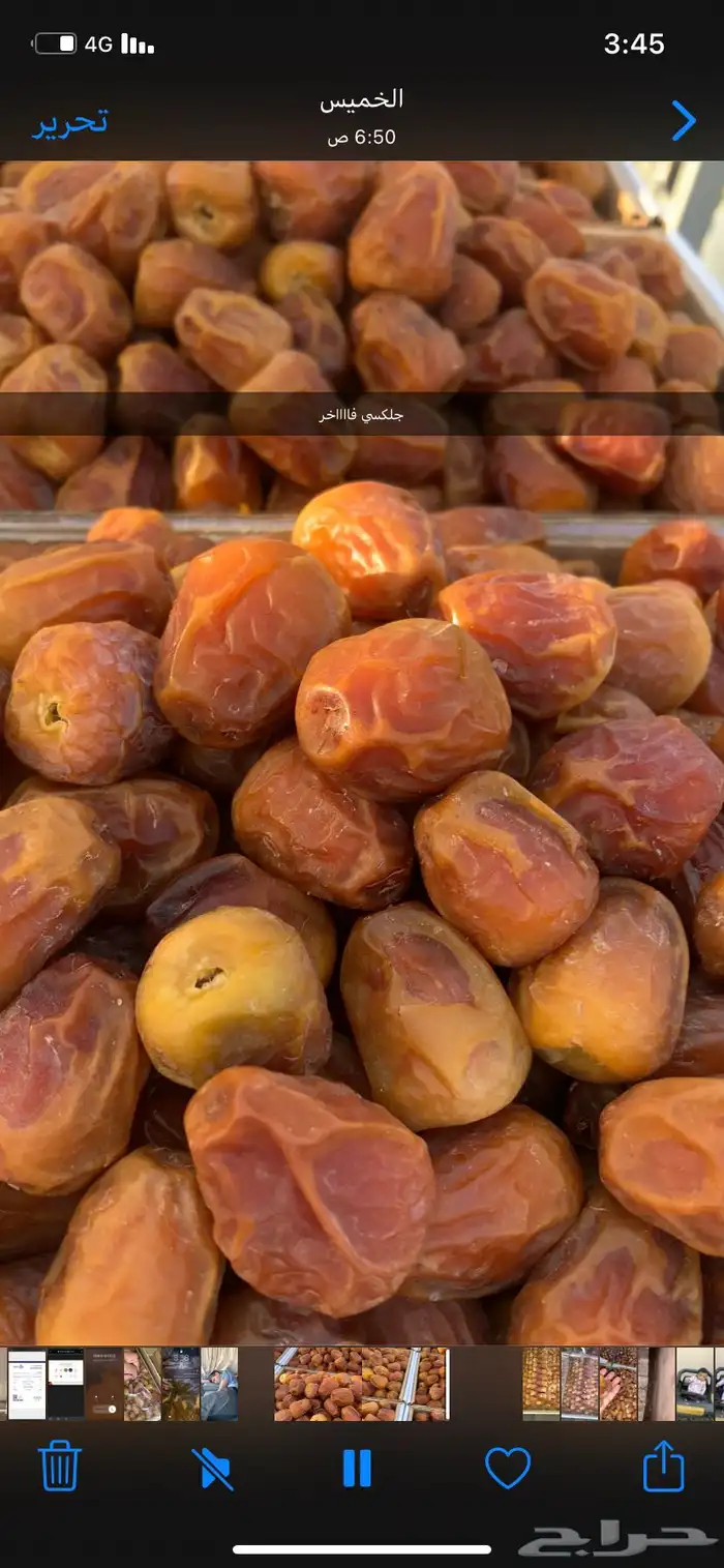 سكري القصيم الملكي 3
