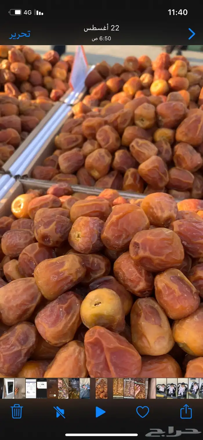 سكري القصيم الملكي 2