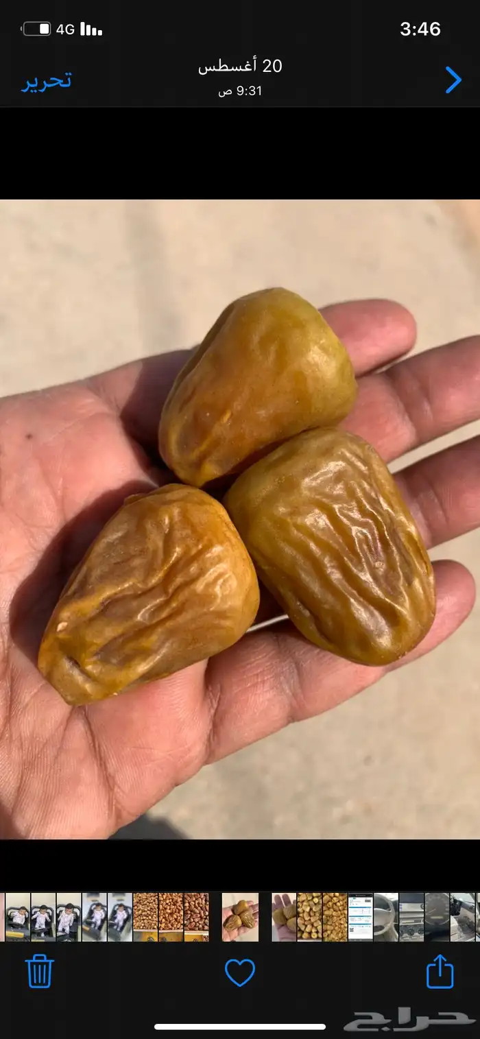 سكري القصيم الملكي 1