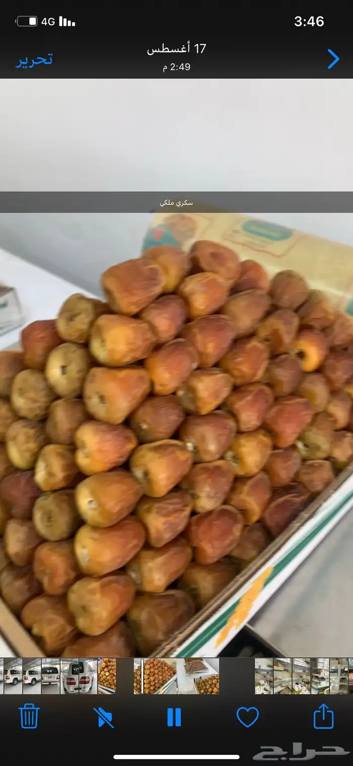 سكري القصيم الملكي 0
