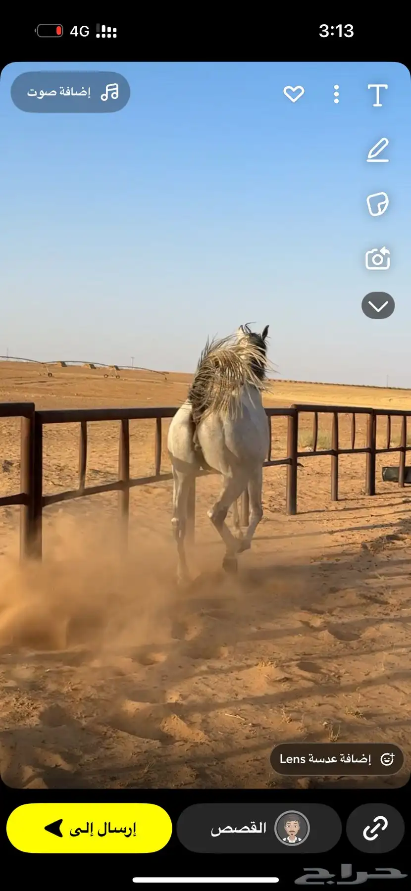 حصان شعبي index