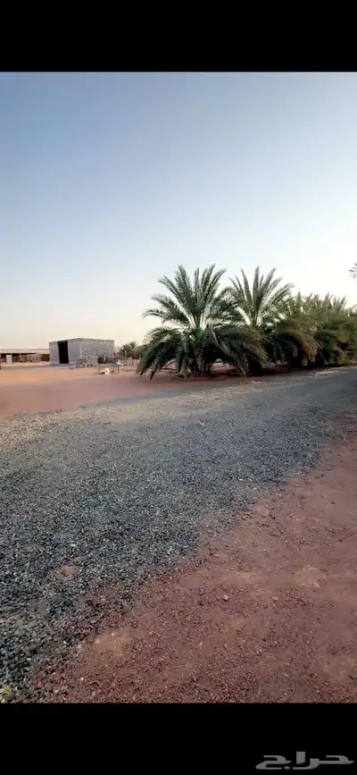للبيع استراحه بالهرير صك زراعي مستقل 2