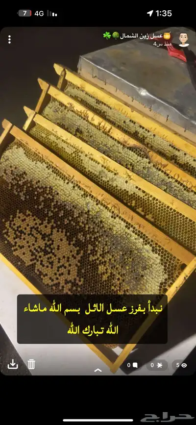 عسل اثل صافي 0