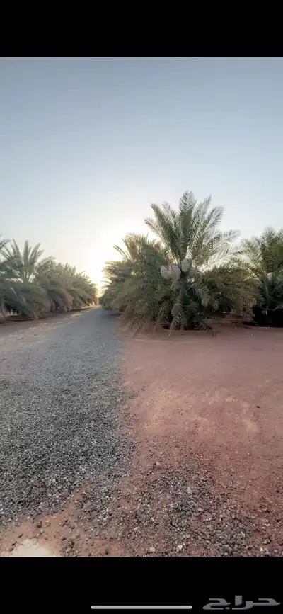 للبيع استراحه بالهرير صك زراعي مستقل 1