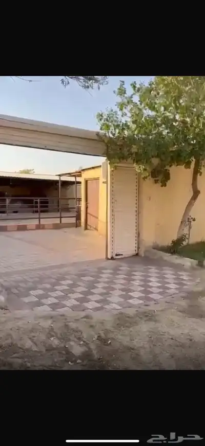 اسطبل مميز للبيع 0