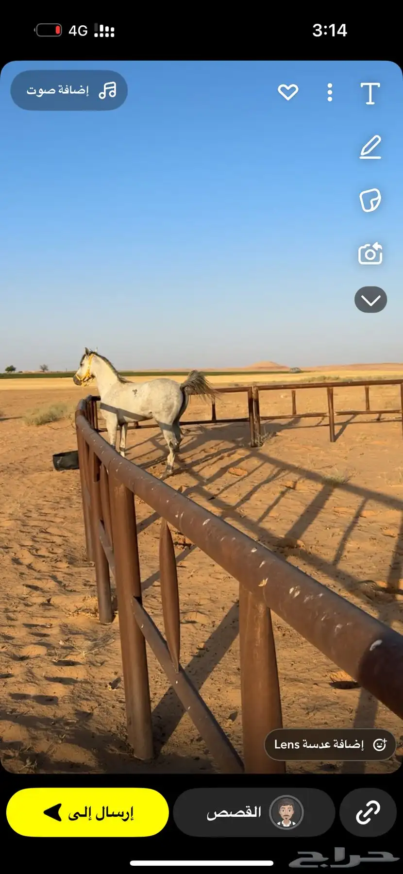 حصان شعبي index