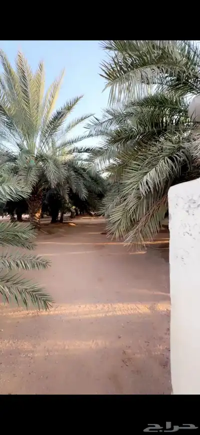 للبيع استراحه بالهرير صك زراعي مستقل 16