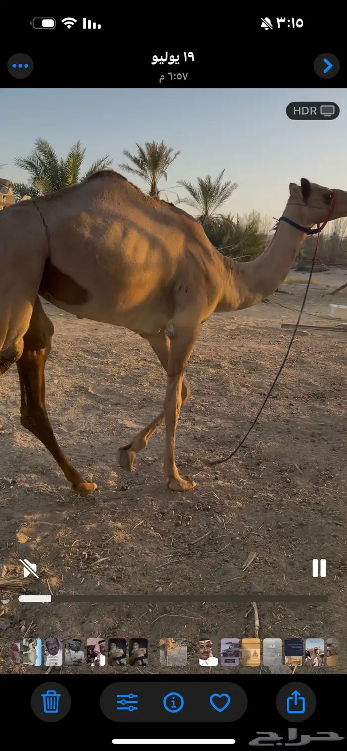 بكره 0