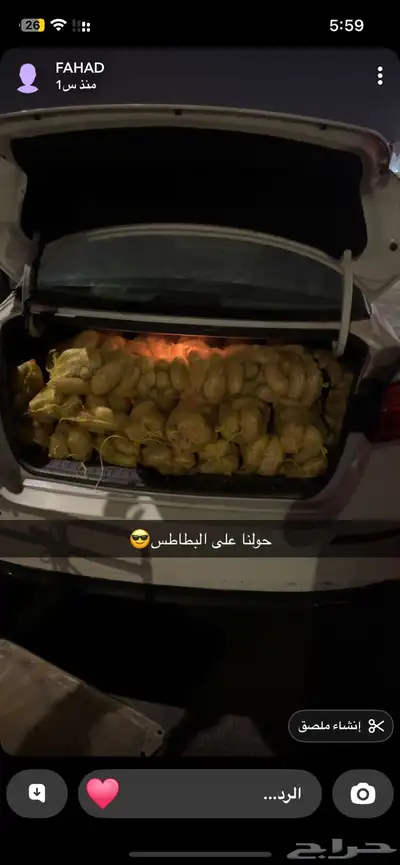 بطاطس حايل 0