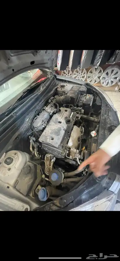 اكسنت للبيع 2011 6