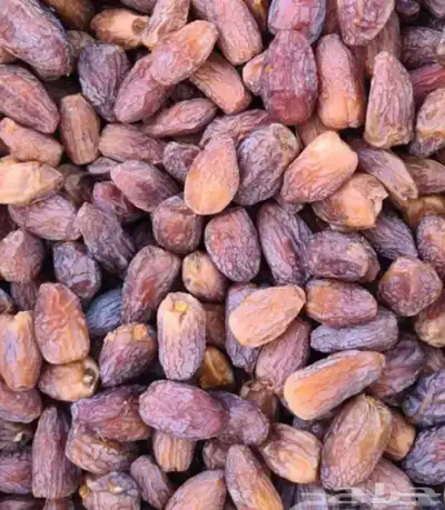 تمر علف نضيف مشالله درجه أوله 1