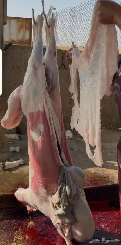 ذبايح 2