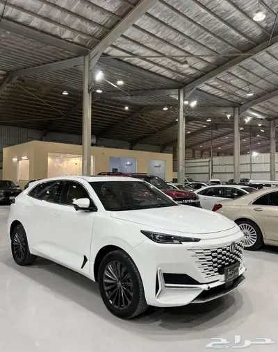 شانجان يوني كي 2023 1