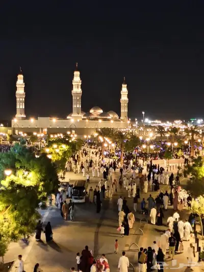 تصوير درون 1