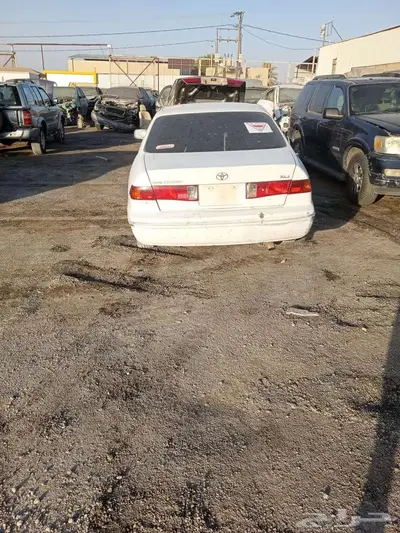باثفندر 1