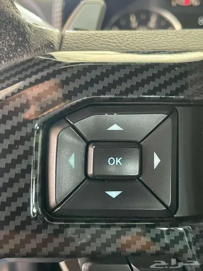 فورد f150 رابتر 2019 29