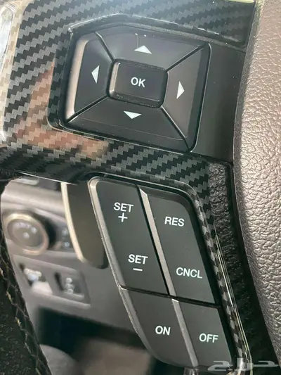 فورد f150 رابتر 2019 27