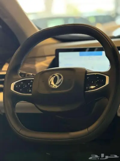 دونج فينج ميج 2025 16