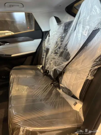 دونج فينج ميج 2025 19