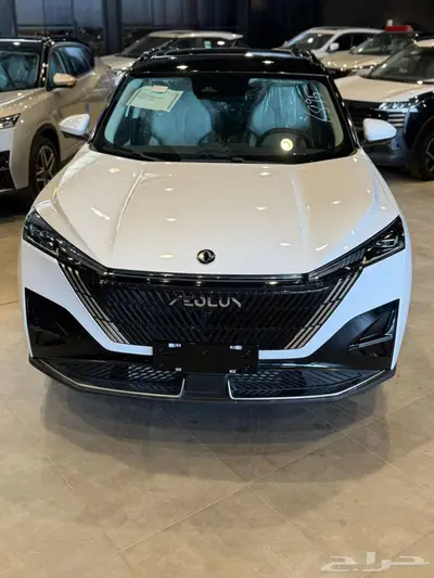 دونج فينج ميج 2025 3