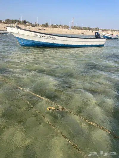 قارب للبيع 2