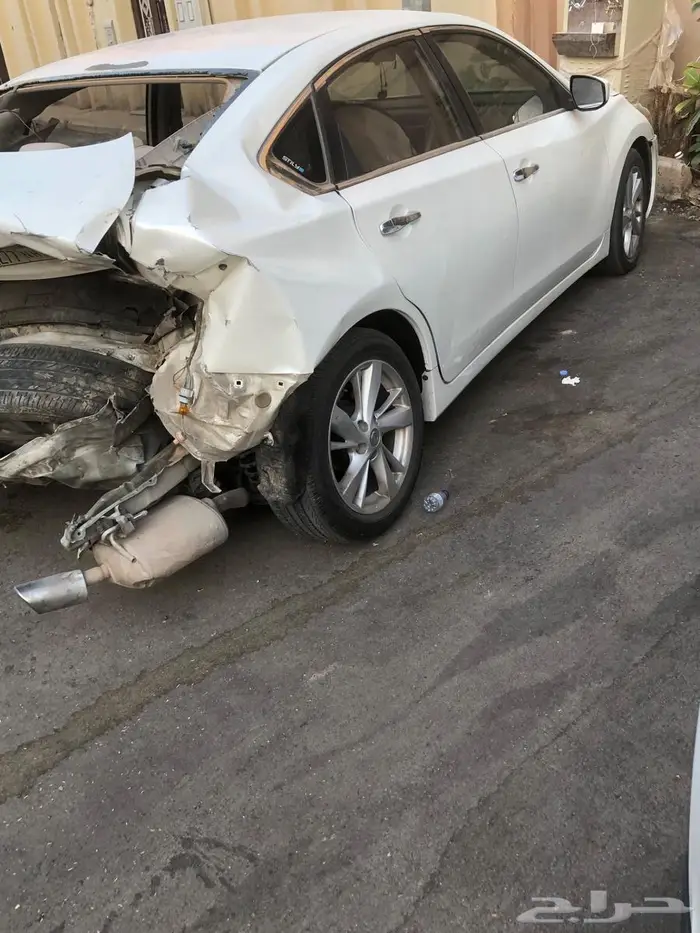 التيما 2014 2