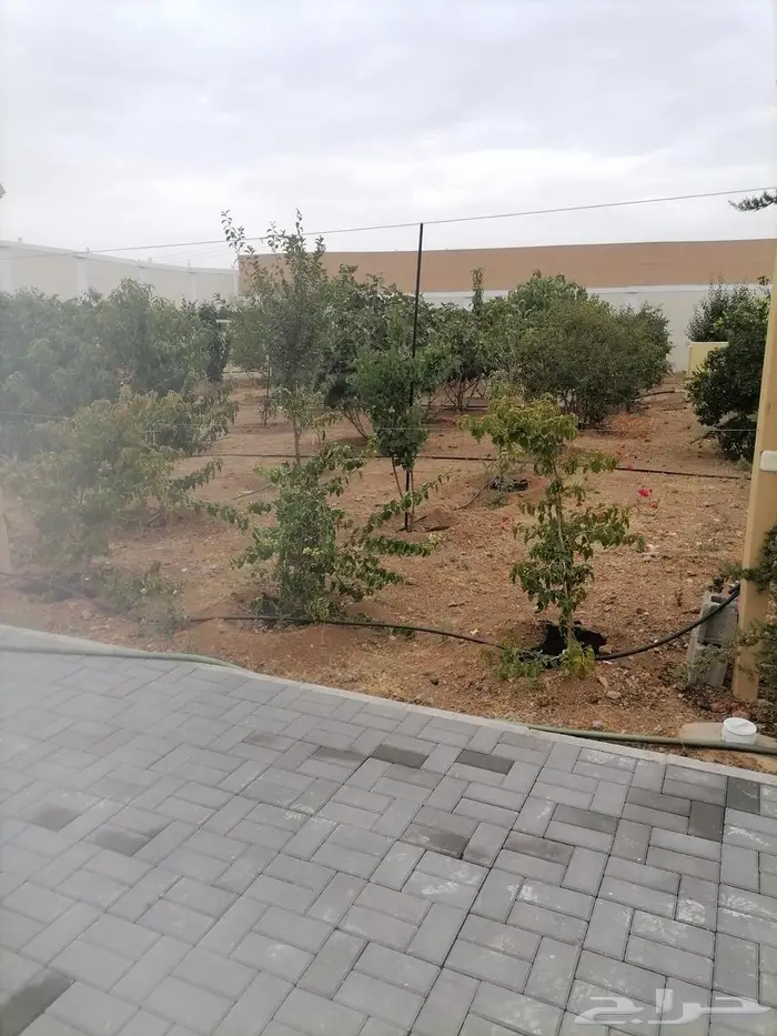 سراة عبيده 12