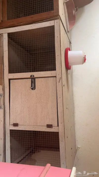 محاكر حمام صيصان ارانب 2