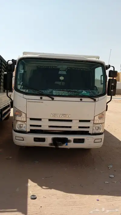 دينا ايسوزو 2013 5