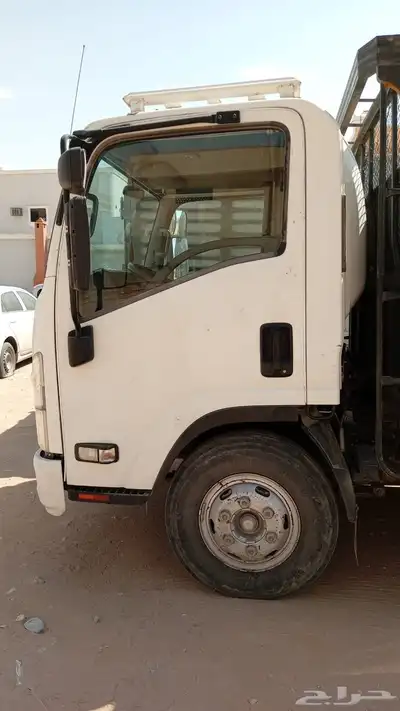 دينا ايسوزو 2013 1