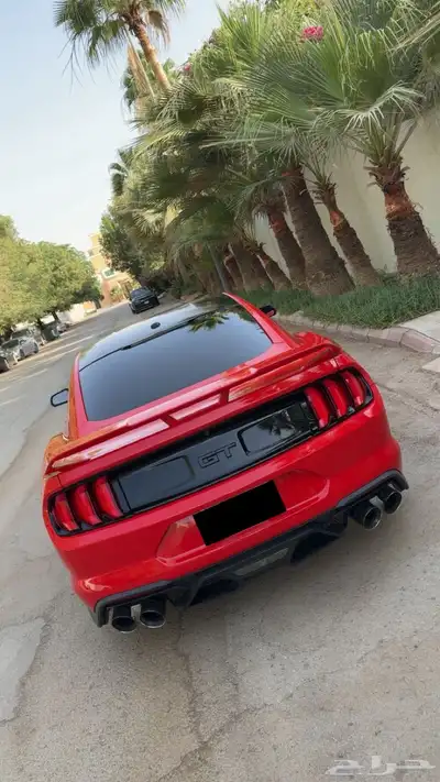 موستنج 2019 فل اوبشن بلاك اديشن 11