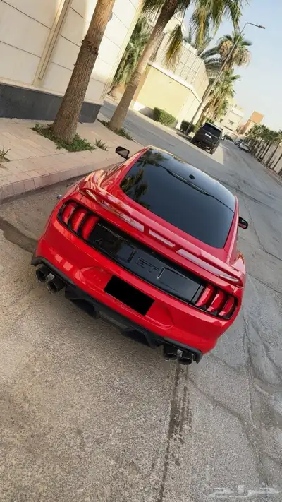 موستنج 2019 فل اوبشن بلاك اديشن 10