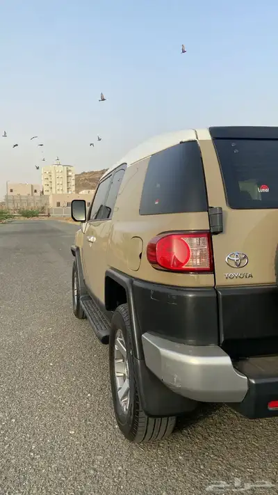 أفجي 2015 3