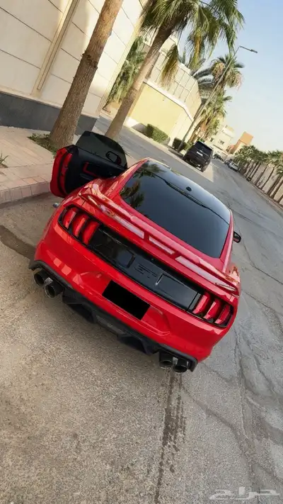 موستنج 2019 فل اوبشن بلاك اديشن 0