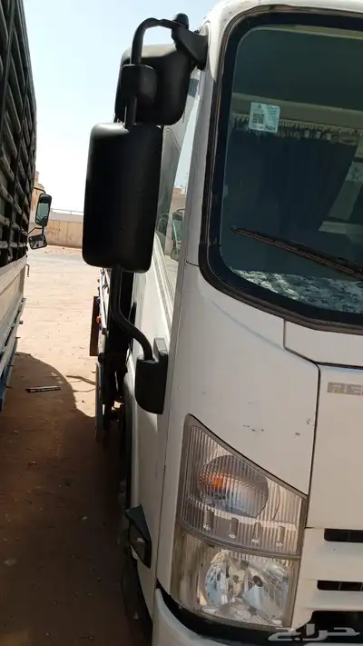 دينا ايسوزو 2013 0