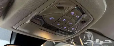 فاو بيستون 2025 14