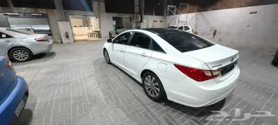 سونانا 2014 بالاحساء 8
