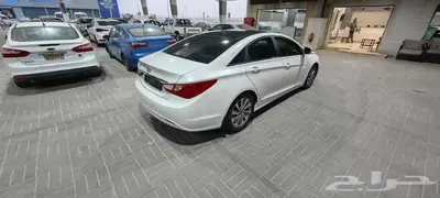 سونانا 2014 بالاحساء 7