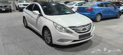 سونانا 2014 بالاحساء 11